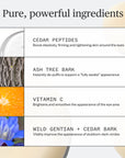 Ursa Major - Sunny Start Eye Serum
