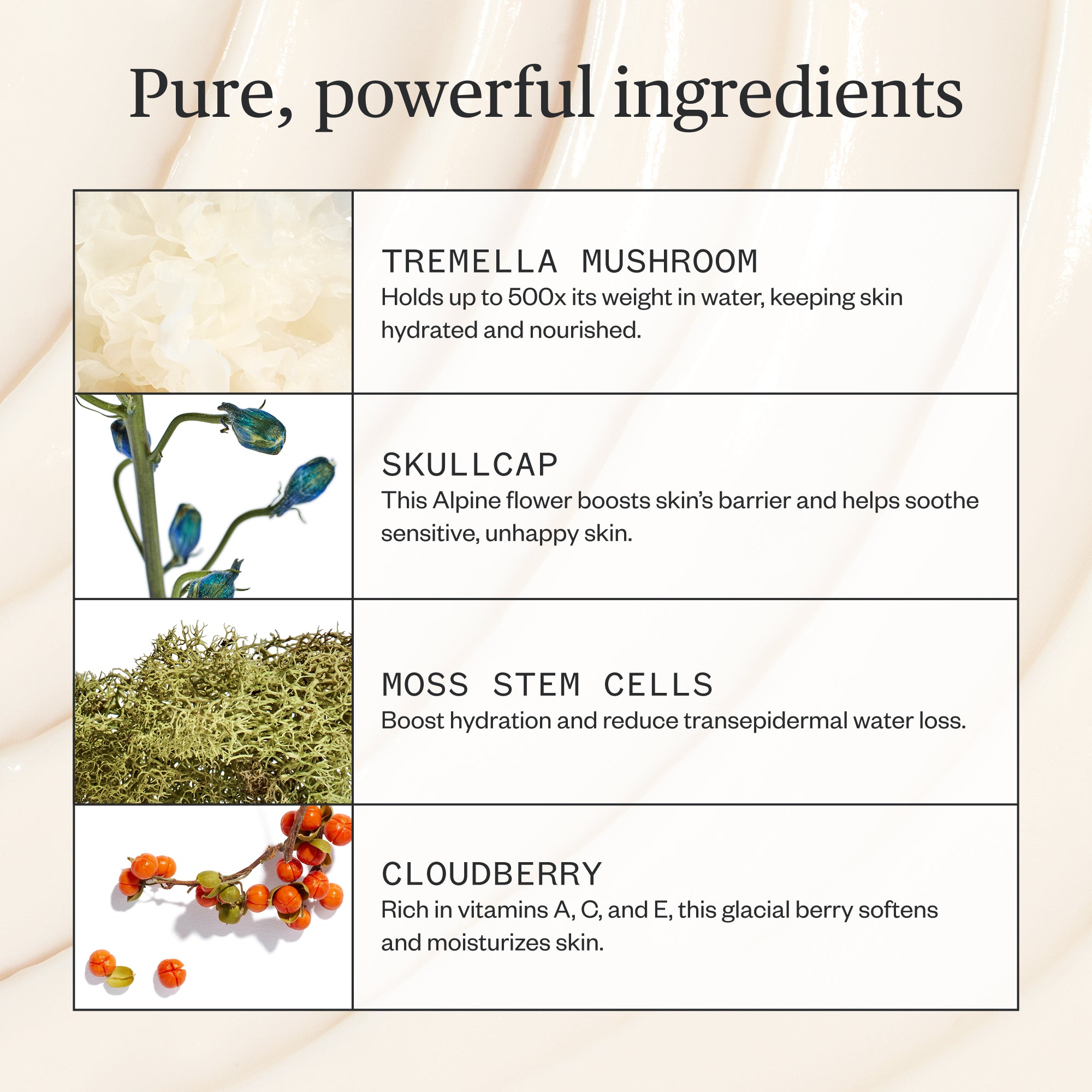 Ursa Major - Alpine Rich Cream