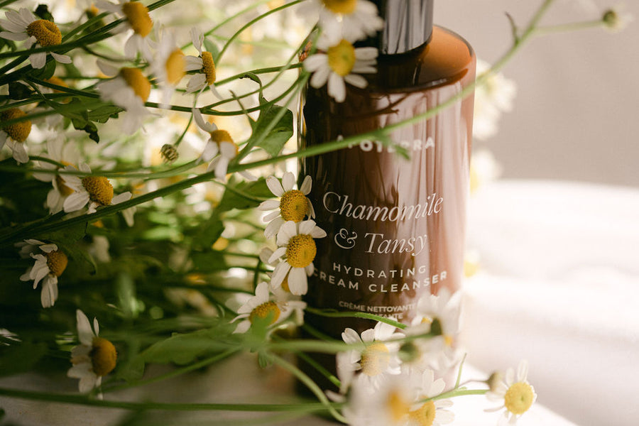 The Herbalist- Barrier Repair, Decongest and Heal