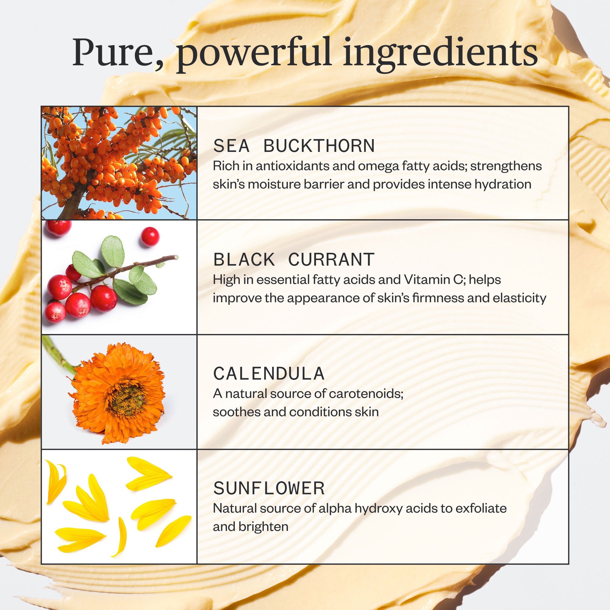 Ursa Major - Golden Hour Recovery Cream: