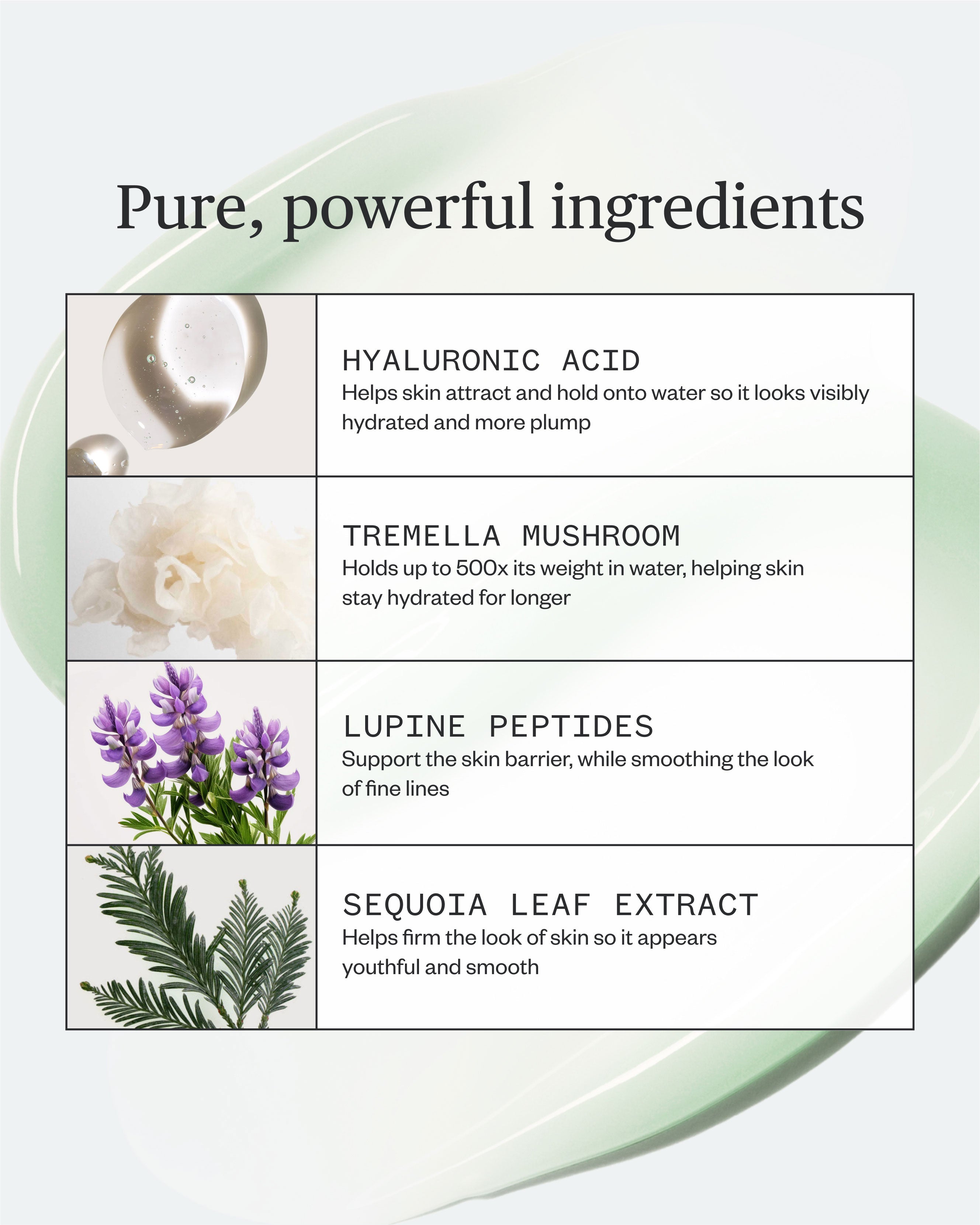 Ursa Major - Forest Water Hyaluronic Serum