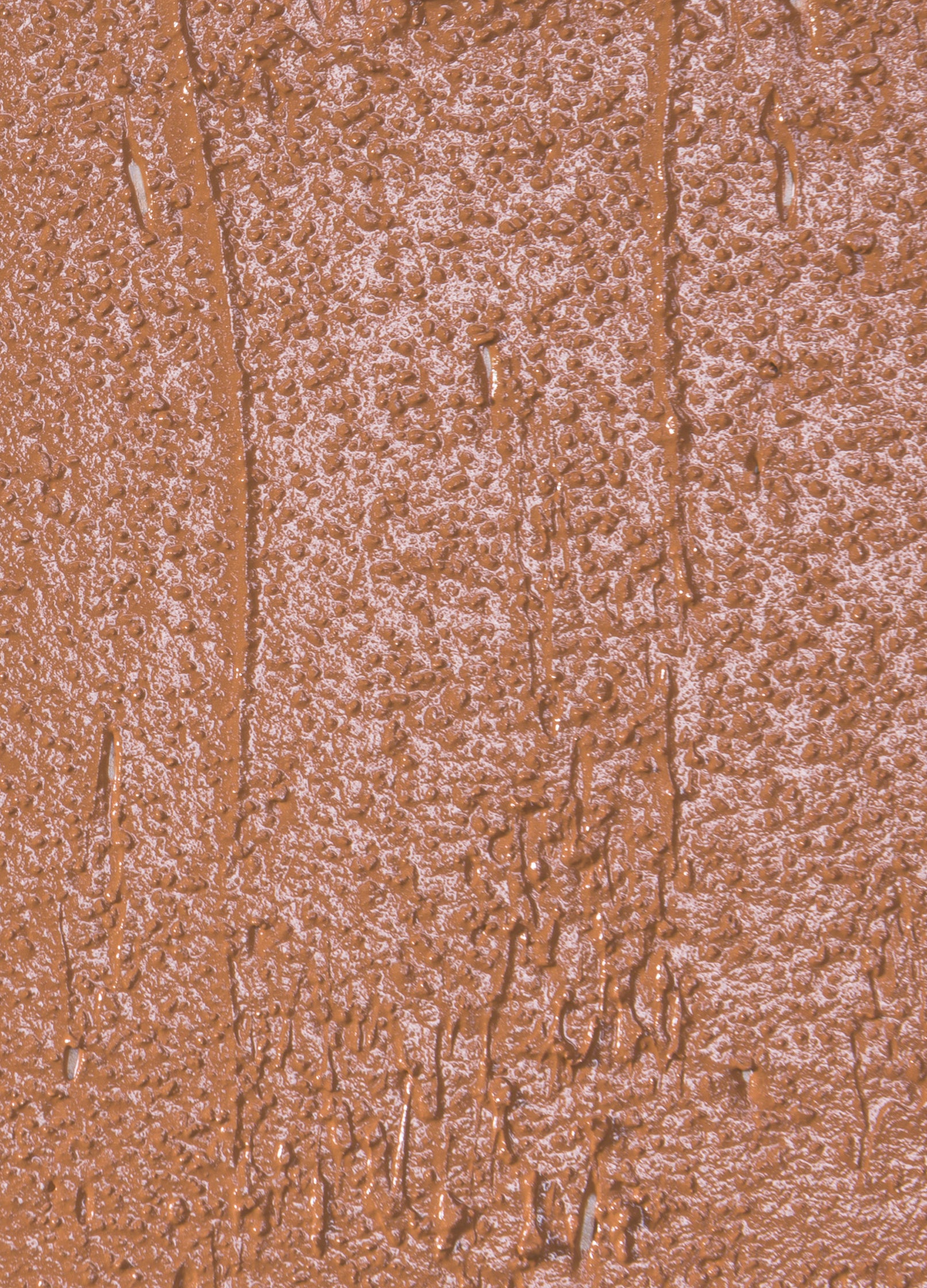 Elate Beauty-Creme Concealer